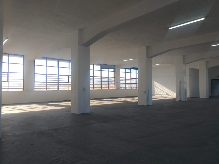 To Let Commercial Property for Rent in Paarden Eiland Western Cape